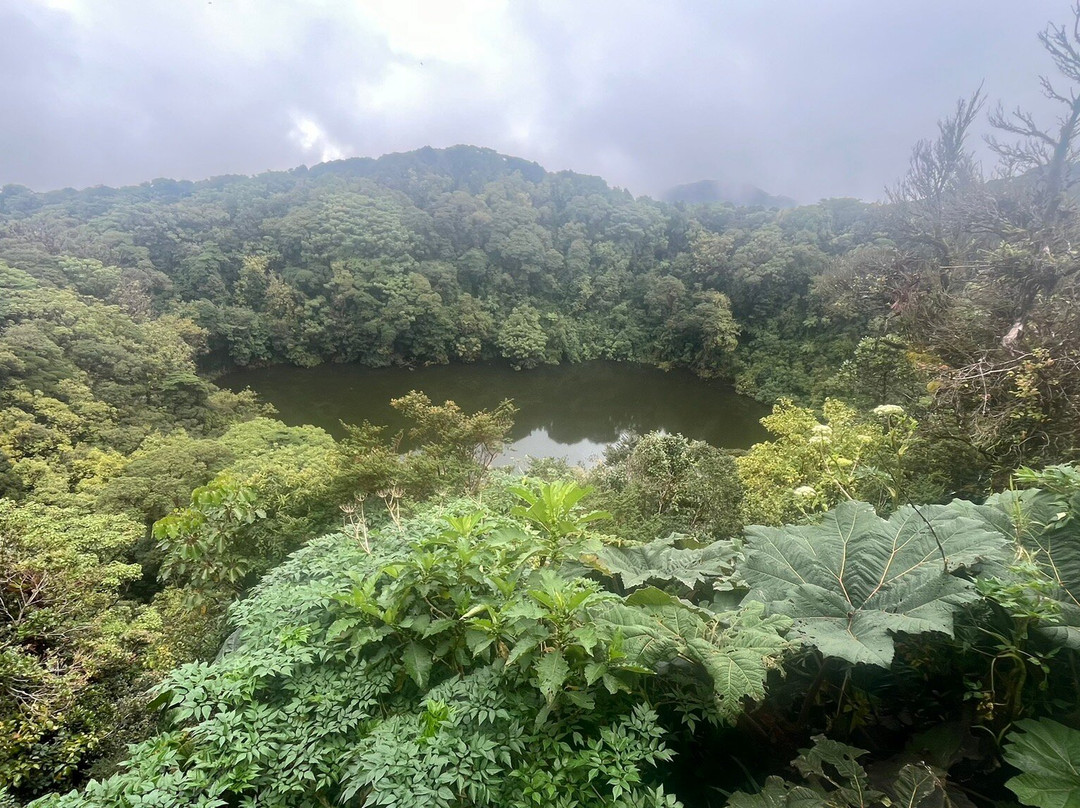 Volcán Barva景点图片