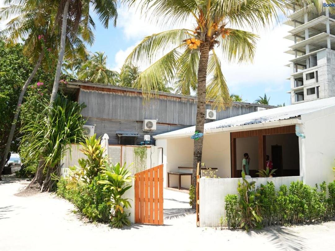 Coconut Surf Maldives