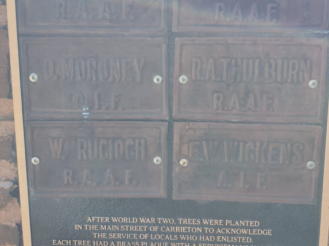 Carrieton War Memorial景点图片