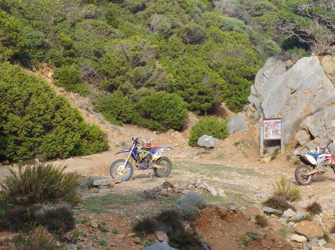 B&B Domus de Janas主图