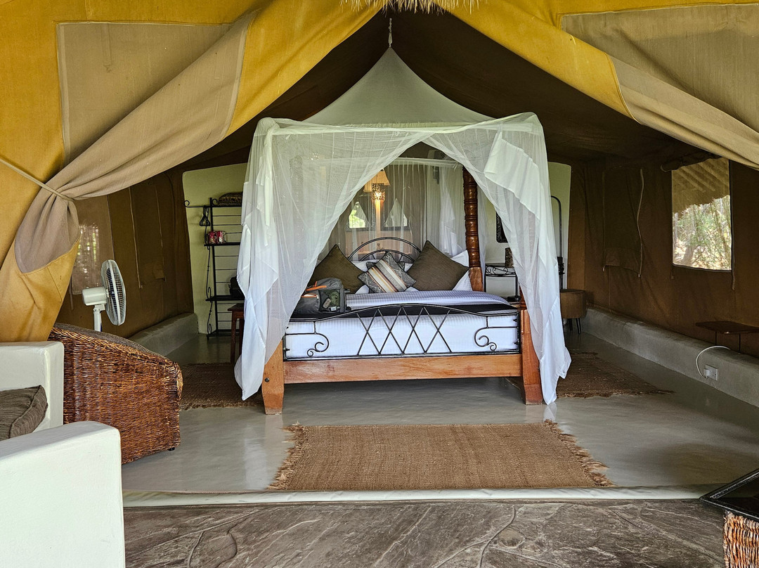 Flamingo Hill Tented Camp主图