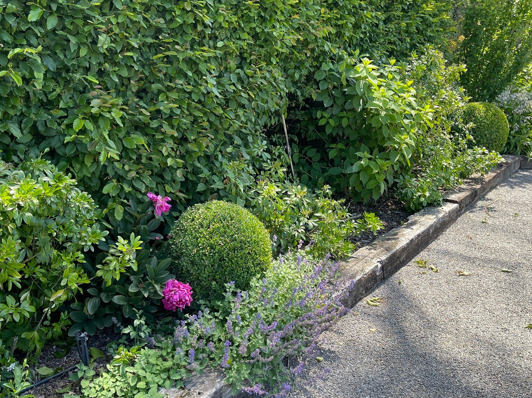 Whakapuni Station & Gardens景点图片
