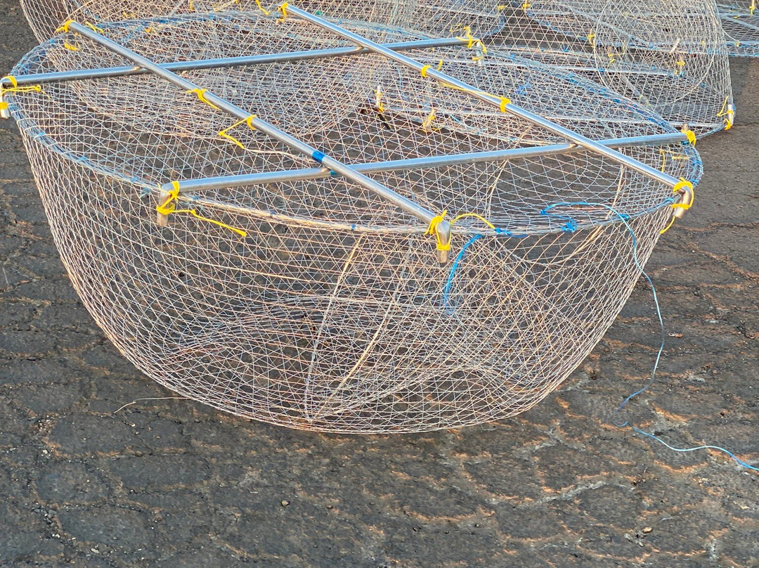 Corniche Al Khor-Al Khor必去景点