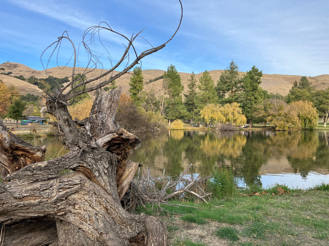 艾德莱文县公园-米尔皮塔斯必去景点