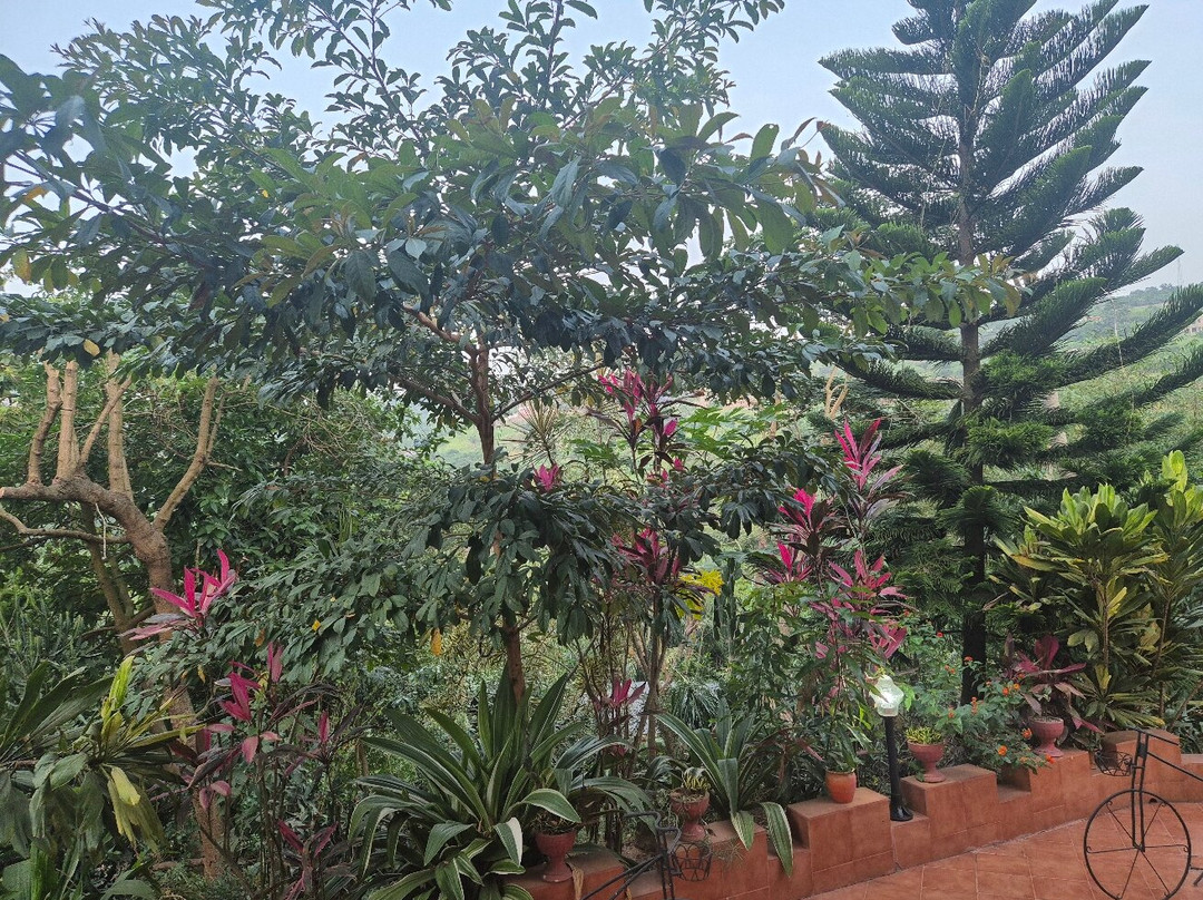 Cactus Creek Ghana Hotel主图