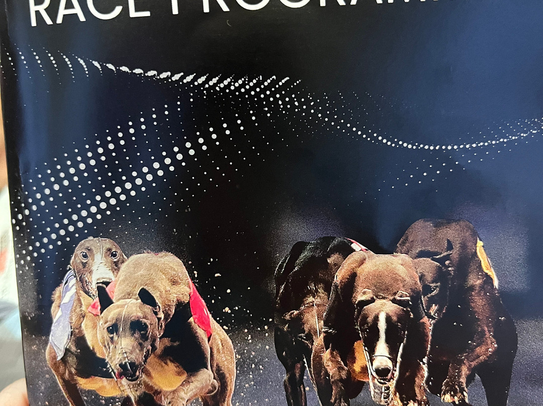 Greyhound Stadium - Curraheen Park-科克必去景点