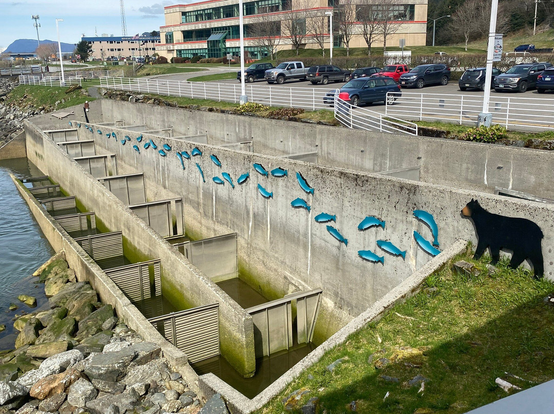 Dipac's Macaulay Salmon Hatchery-朱诺必去景点
