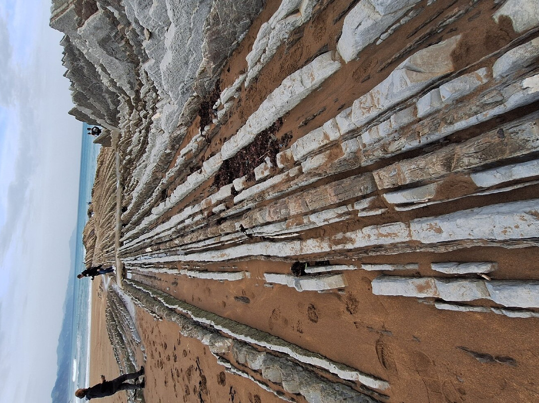 Hotel Talasoterapia Zelai主图