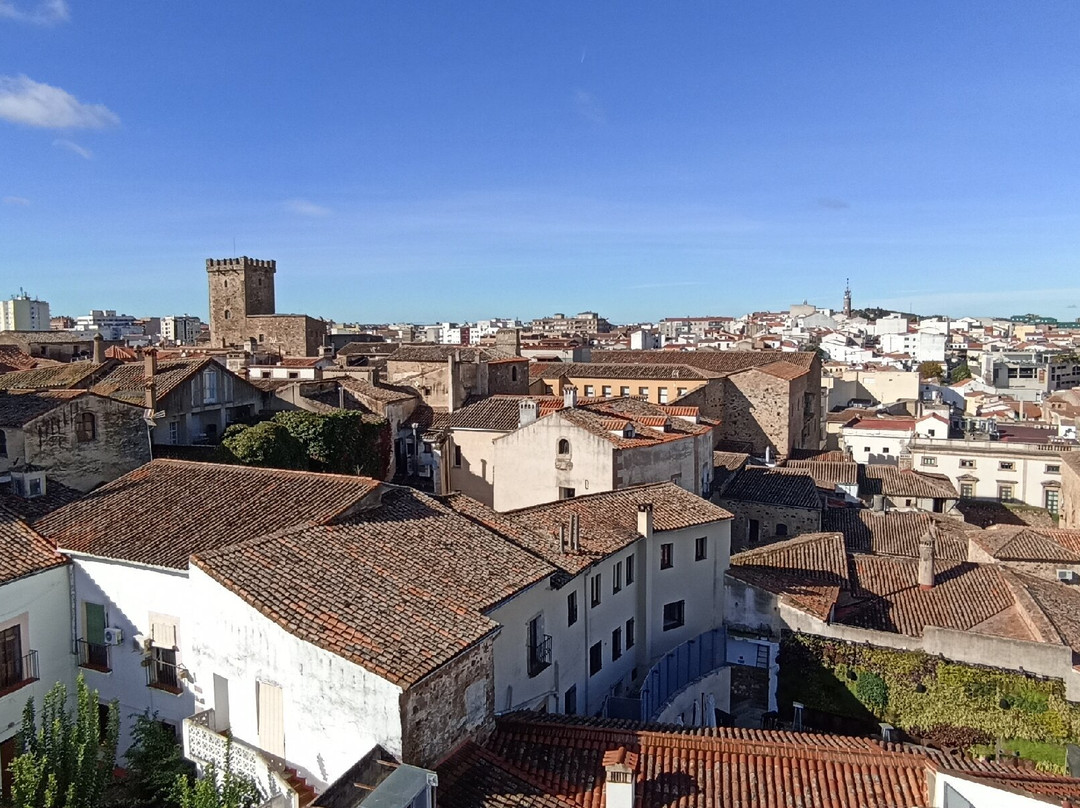 Caceres Municipal Museum景点图片