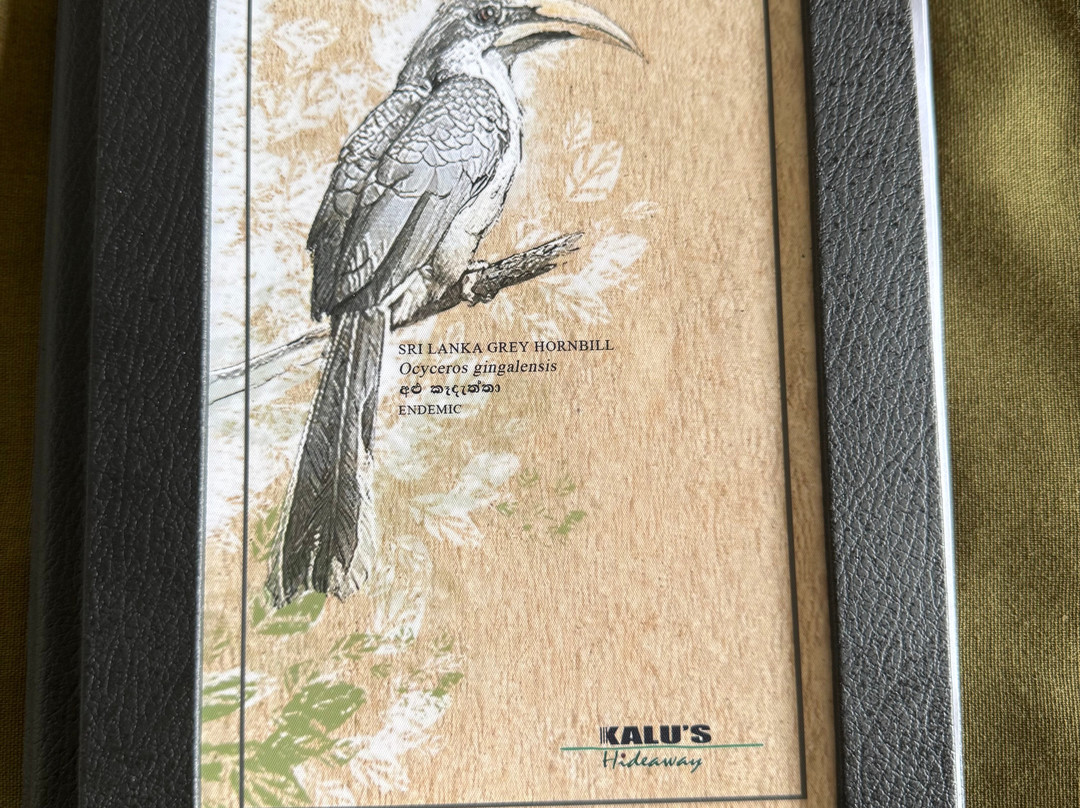 Kalu's Hideaway Udawalawe主图