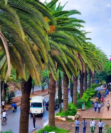 North Peak Ethiopia Tours-巴哈尔达尔必去景点