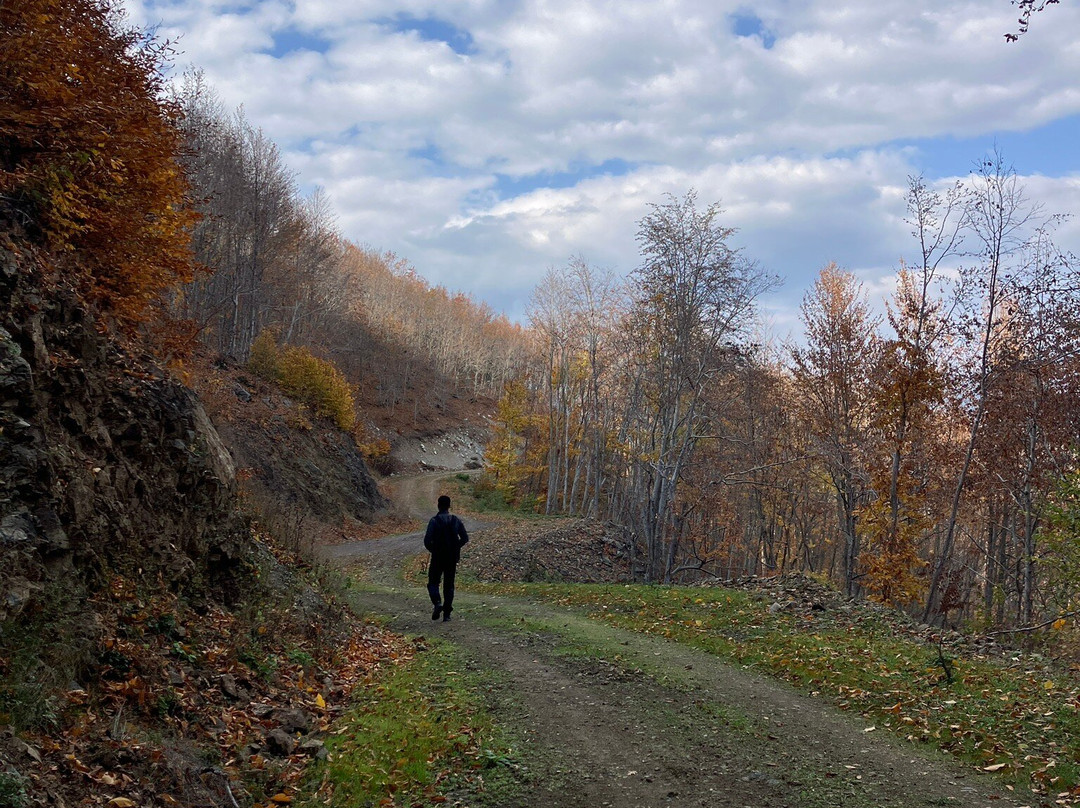 Dumanlı Yaylası景点图片