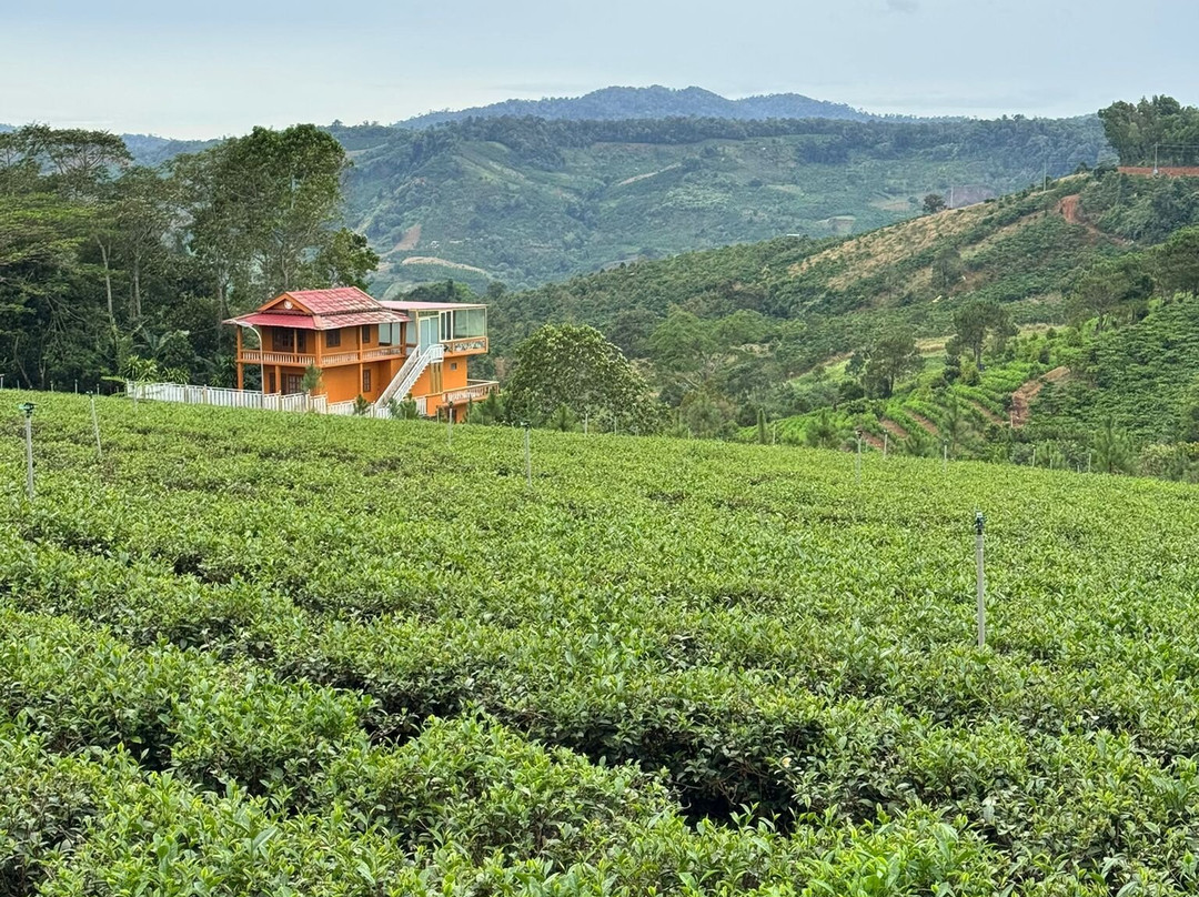 Dambri Waterfall-保禄县必去景点
