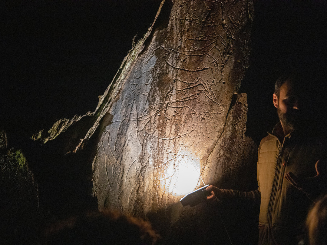 Rewilding Portugal - Touristic Experiences-Pinhel必去景点