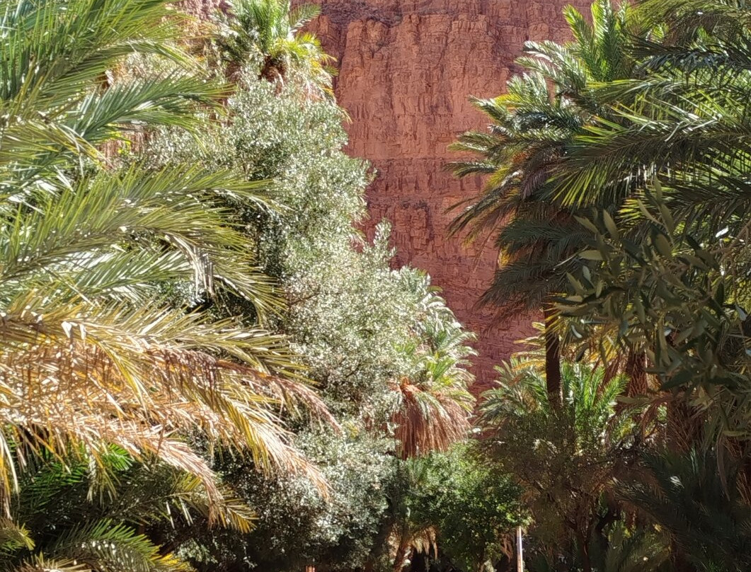 Vallee d'Ait Mansour景点图片