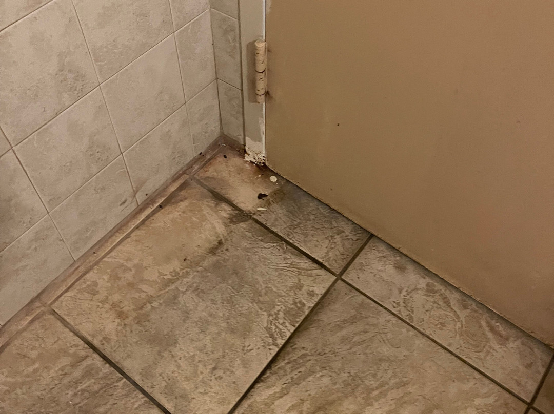 Comfort Inn & Suites Langley主图