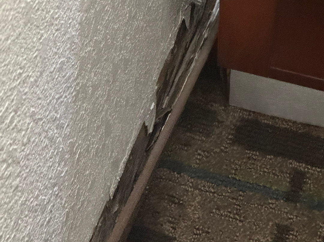 Best Western Plus Richmond Airport Hotel主图