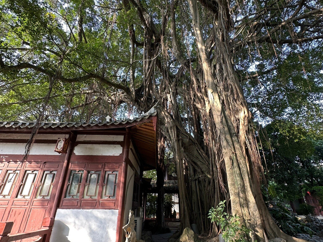 福州西湖公园景点图片