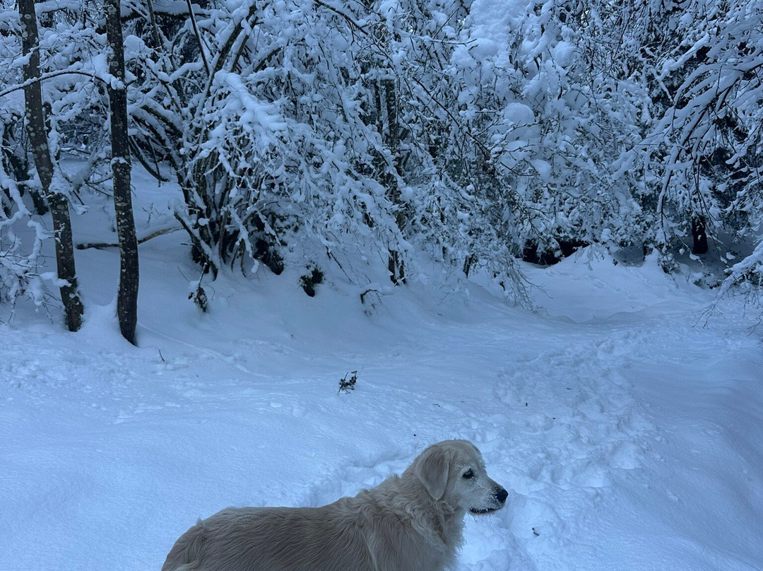Alpenhotel Kaiserfels主图