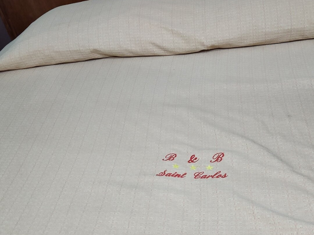B & B Saint Carlos主图