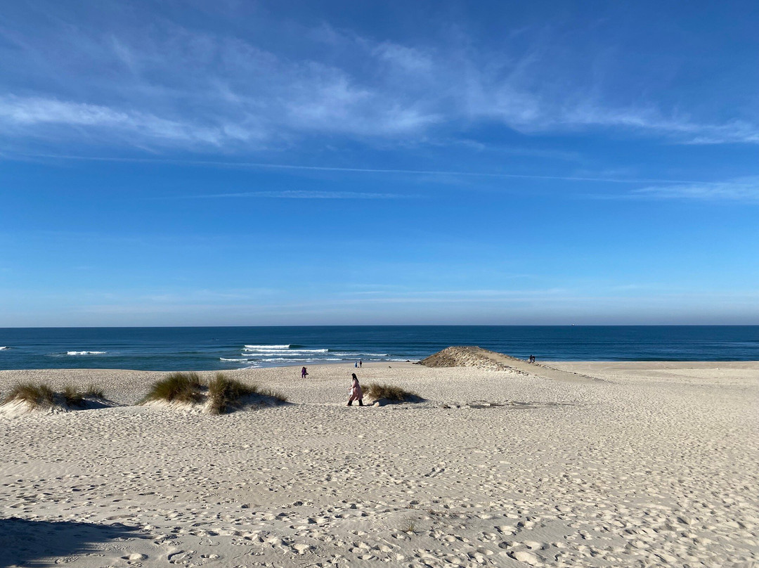 Praia da Costa Nova景点图片