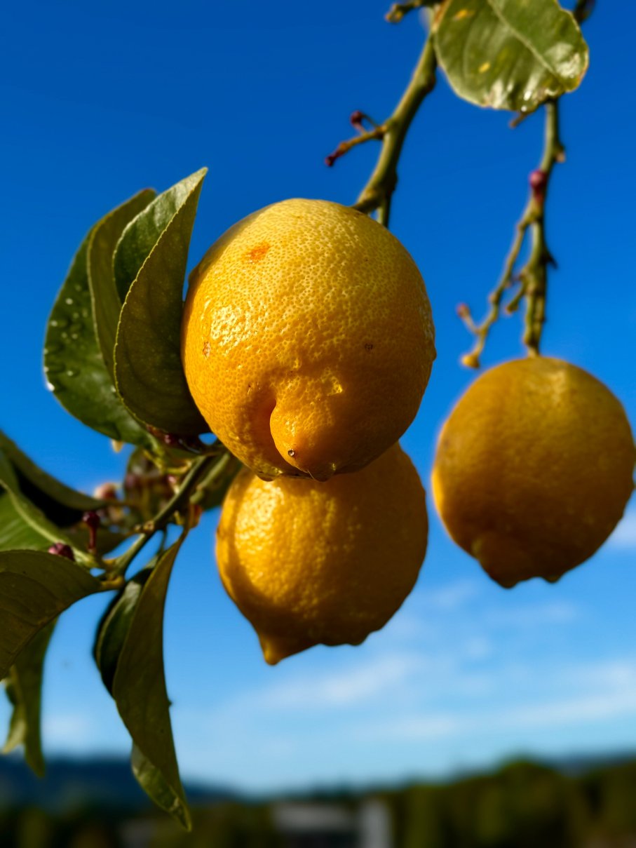 乡村别墅庄园住宿加早餐旅馆-浴室
