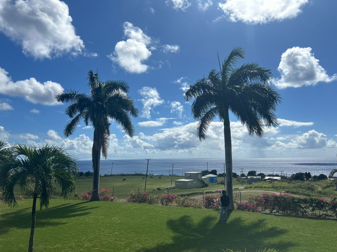Open Top Double Decker Tours-菲利普斯堡必去景点