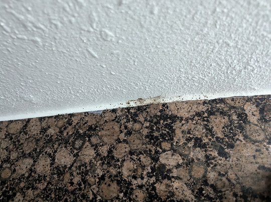 Embassy Suites by Hilton Santa Ana Orange County Airport主图