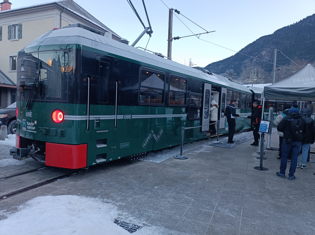 Bruson酒店住宿-Hôtel Bivouac Napoléon