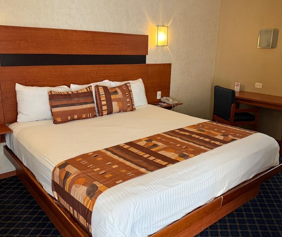 American Inn Hotel & Suites Delicias主图