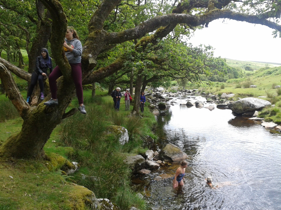 Dartmoor Walks This Way-Ashburton必去景点