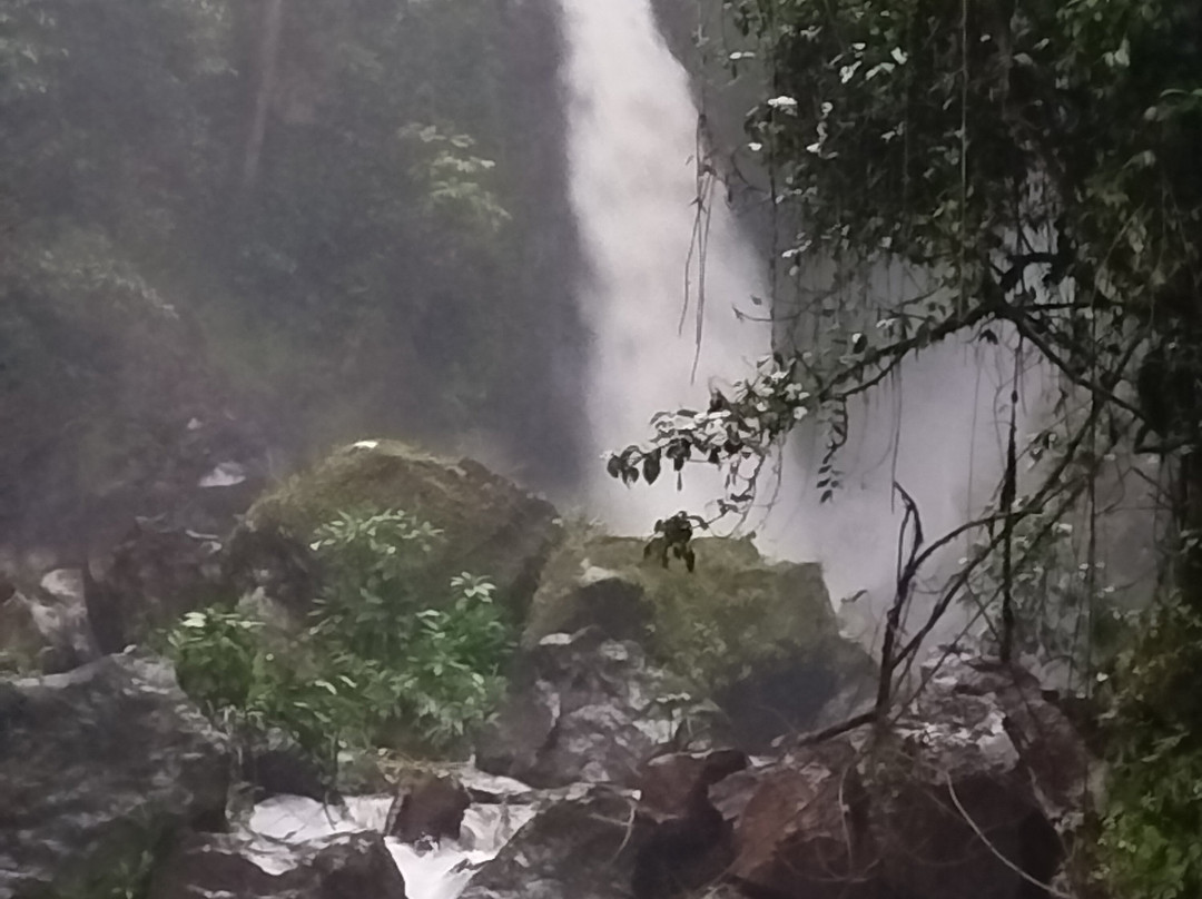 Konnect Safaris-内罗毕必去景点