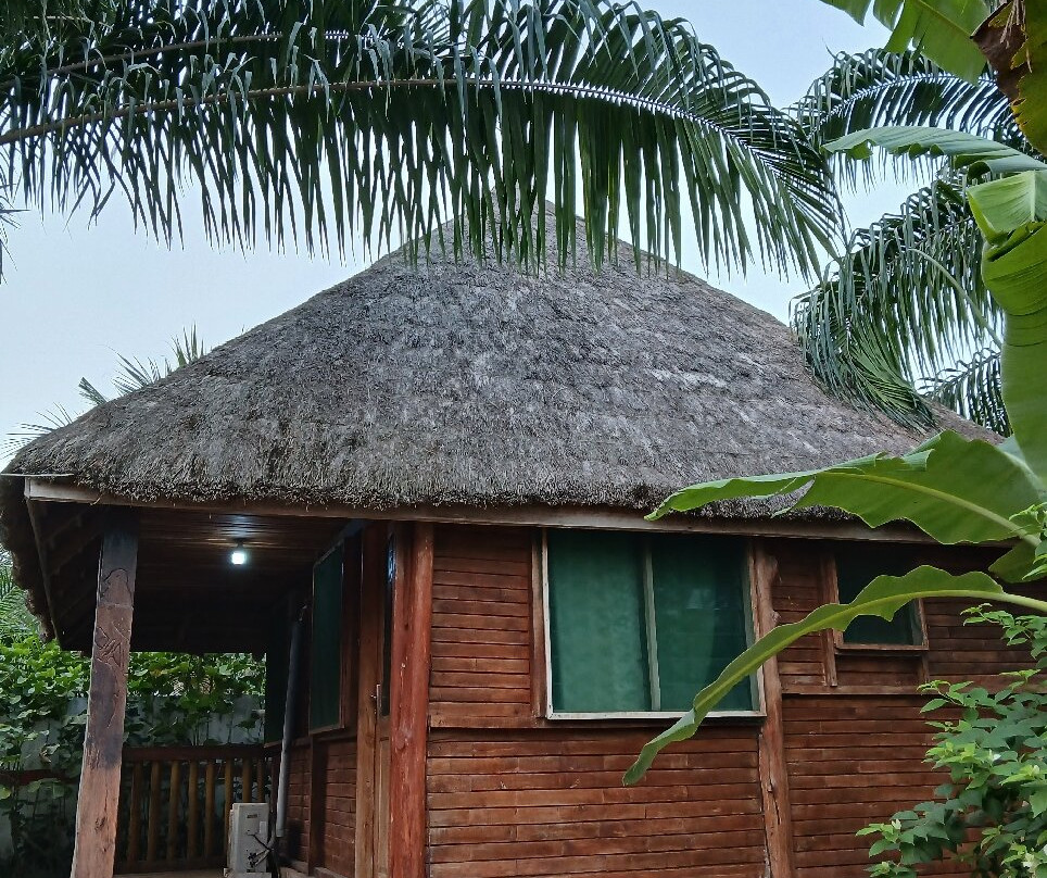 Auberge Chez Théo主图