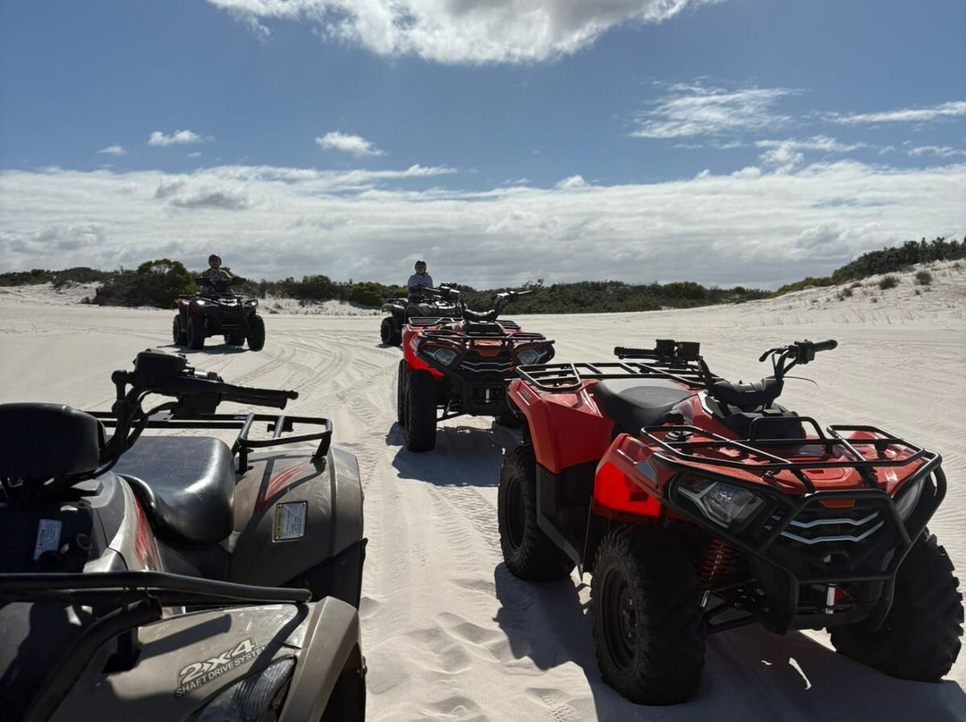 WildX Adventures Atlantis White Sand Dunes-开普敦中心区必去景点