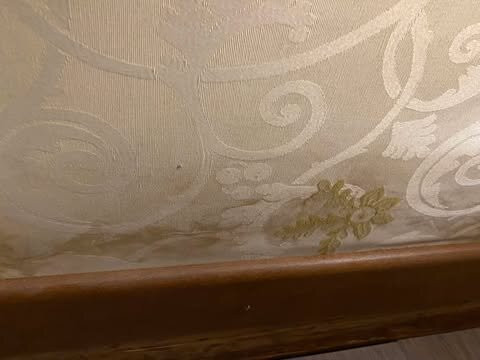 阿多布兰德斯齐酒店主图