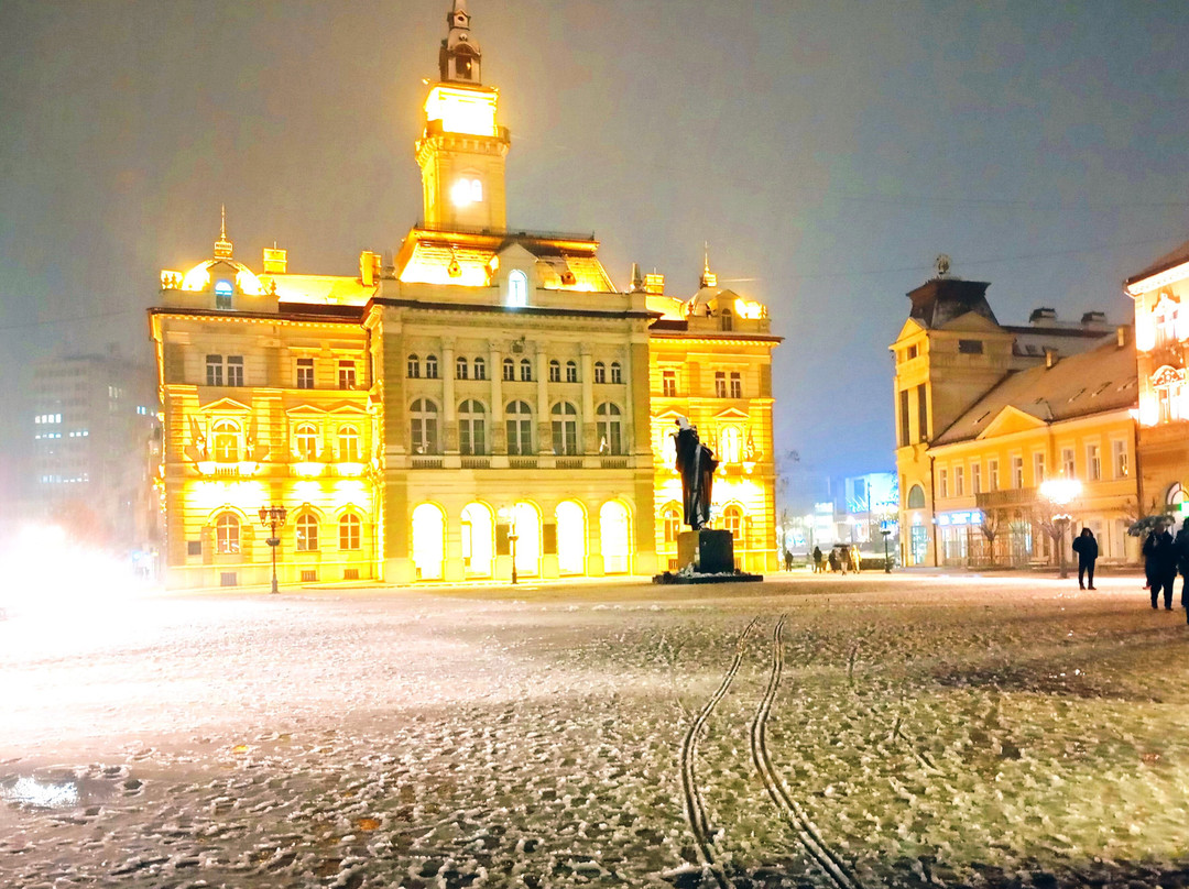 Albert Einstein and Mileva Maric memorial plate-诺维萨德必去景点
