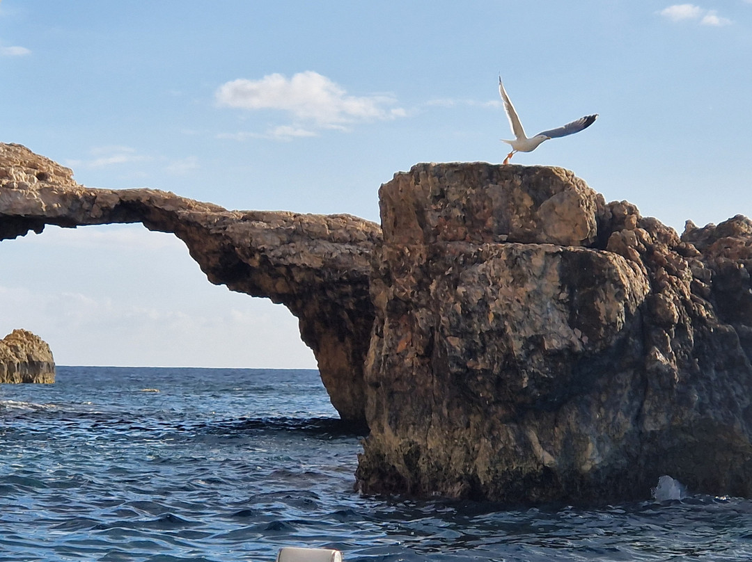Comino Waves Boat Charters Malta景点图片