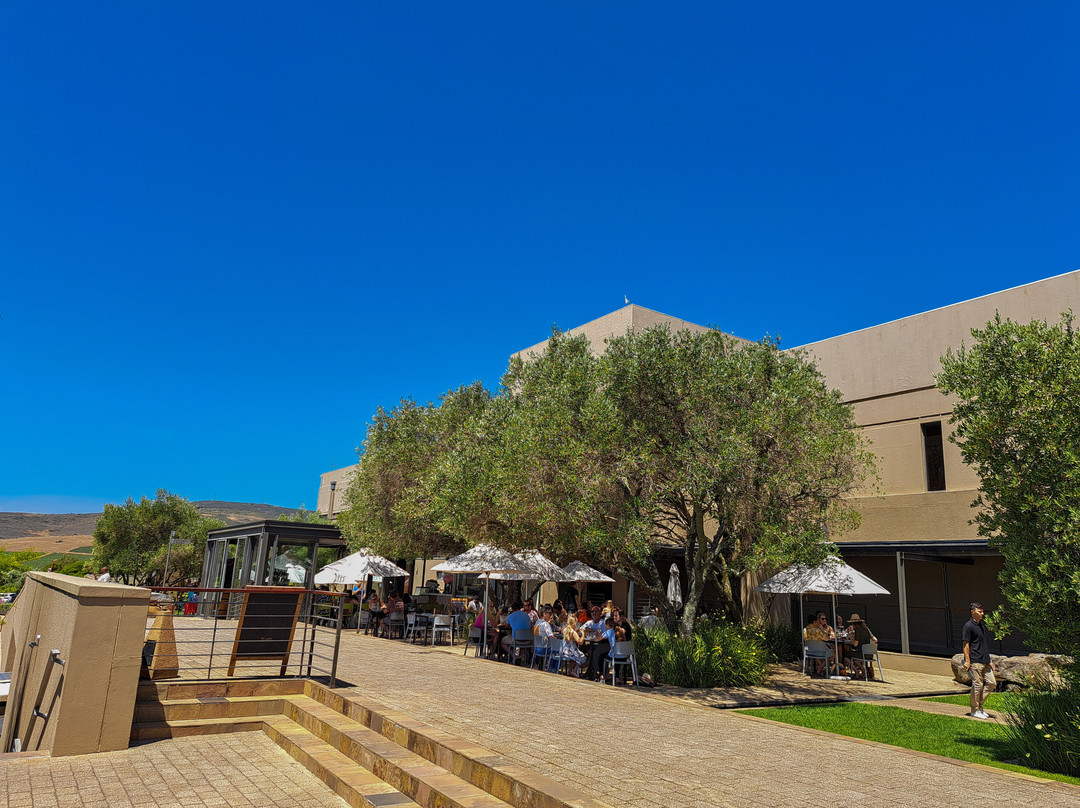 Durbanville Hills Wine景点图片