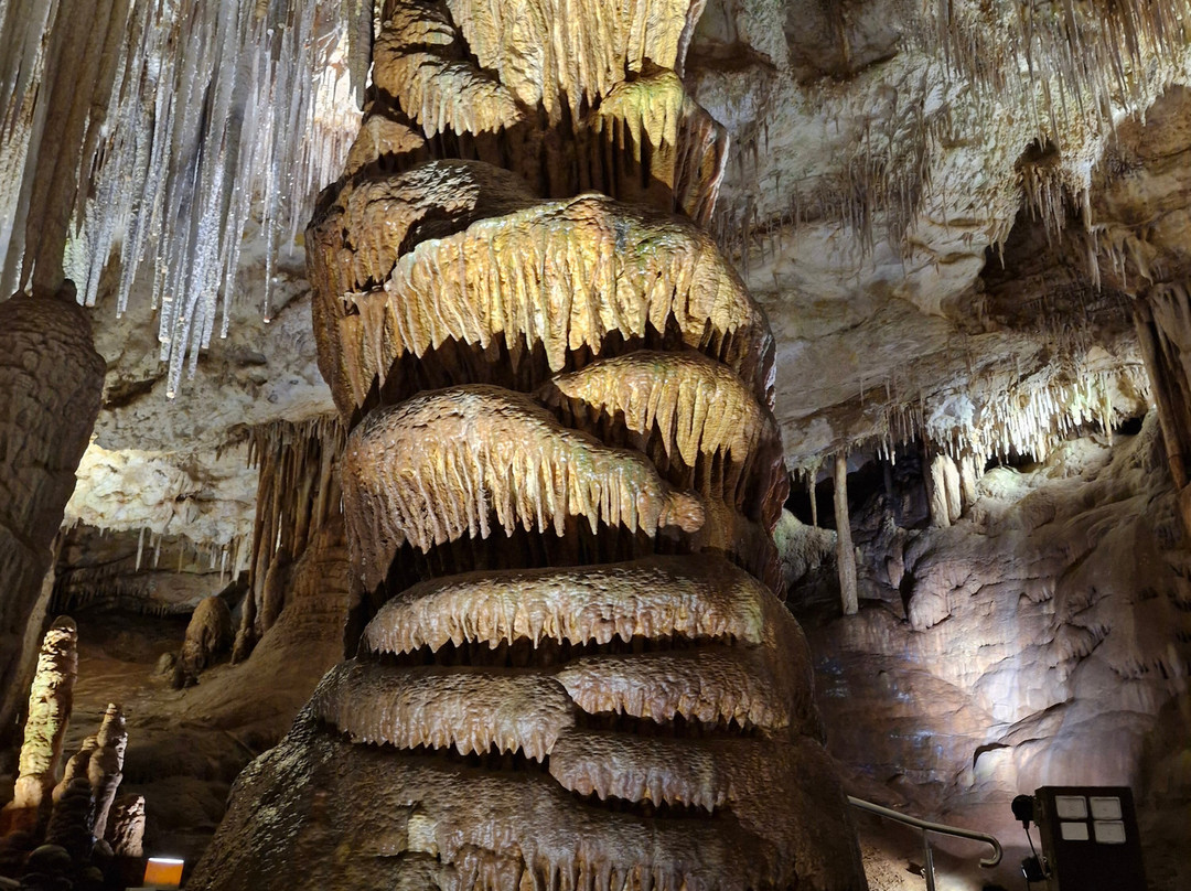 Tantanoola Caves Conservation Park-Tantanoola必去景点