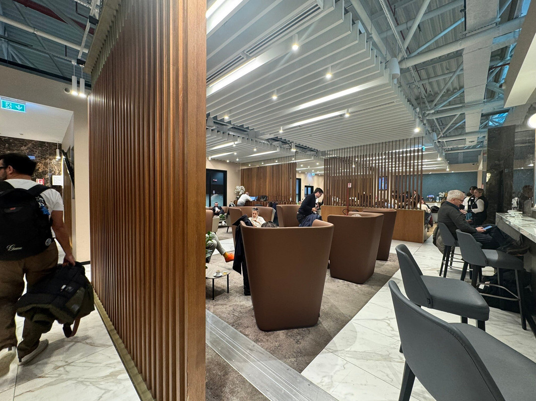 Plaza Premium Lounge (Schengen Area Departures Terminal 1)-菲乌米奇诺必去景点