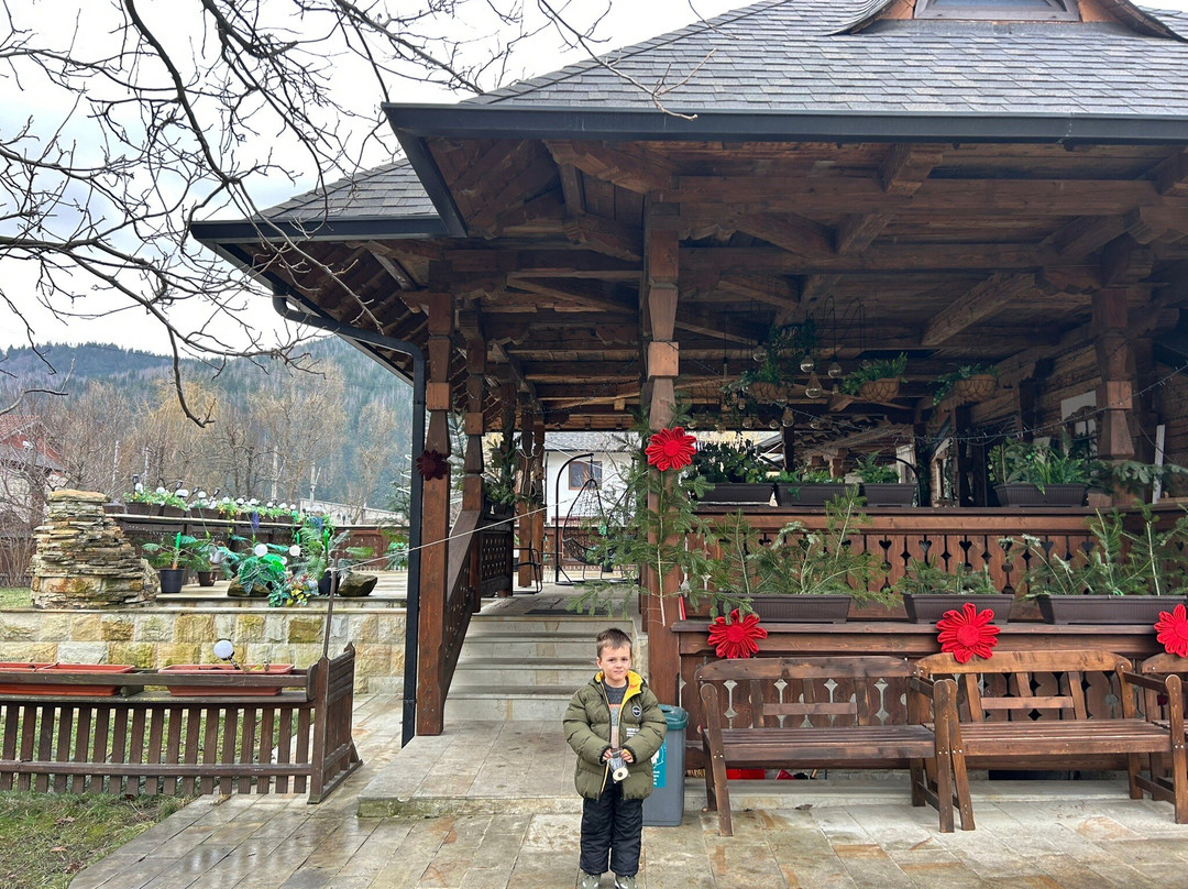 Muzeul Oului景点图片