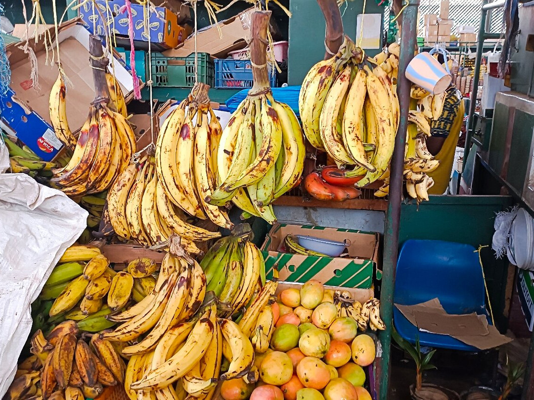 Wild Baobab Safaris Ltd2-蒙巴萨必去景点