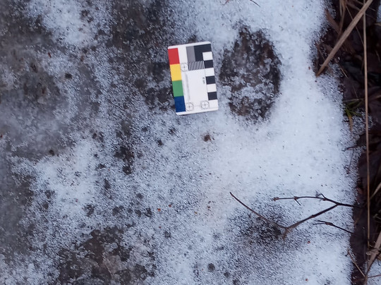 True Nature Sweden-斯德哥尔摩必去景点