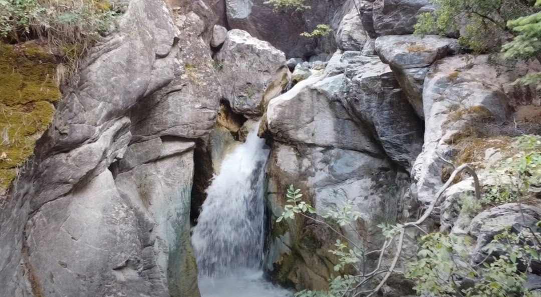 Irene's Healthy Life-Pallini必去景点