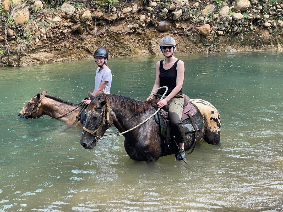 Ranch de Moreau-Goyave必去景点