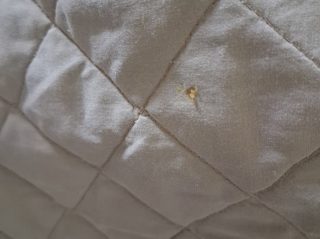 Quedas Park Hotel主图