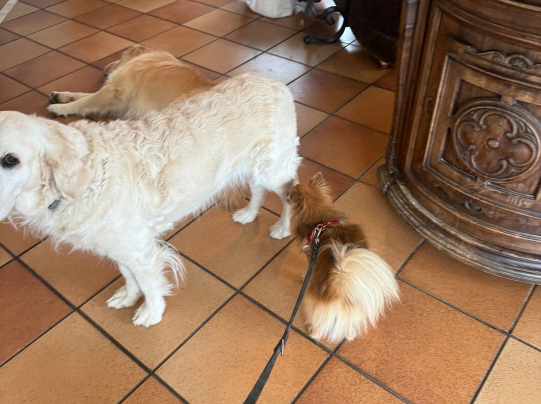 El Balcon De Las Nieves主图