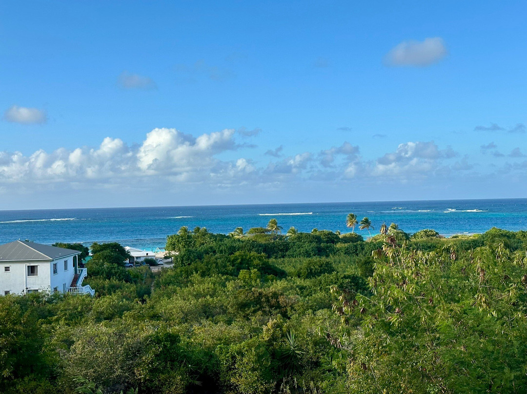 Milly's Inn Inc.主图