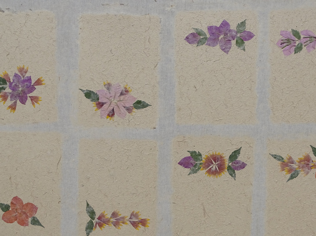 La Fabrique De Papier Artisanal Antemoro景点图片