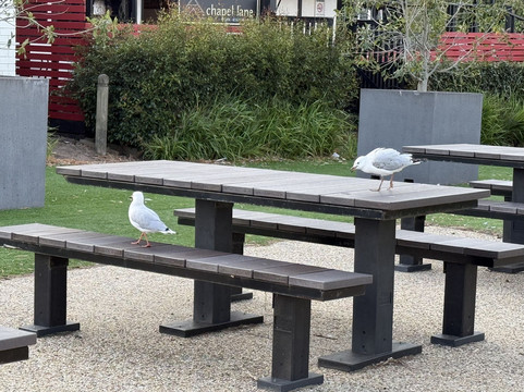 西行航线-墨尔本必去景点